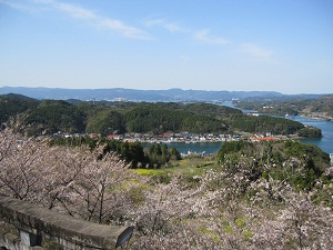 高尾山展望台からの眺め