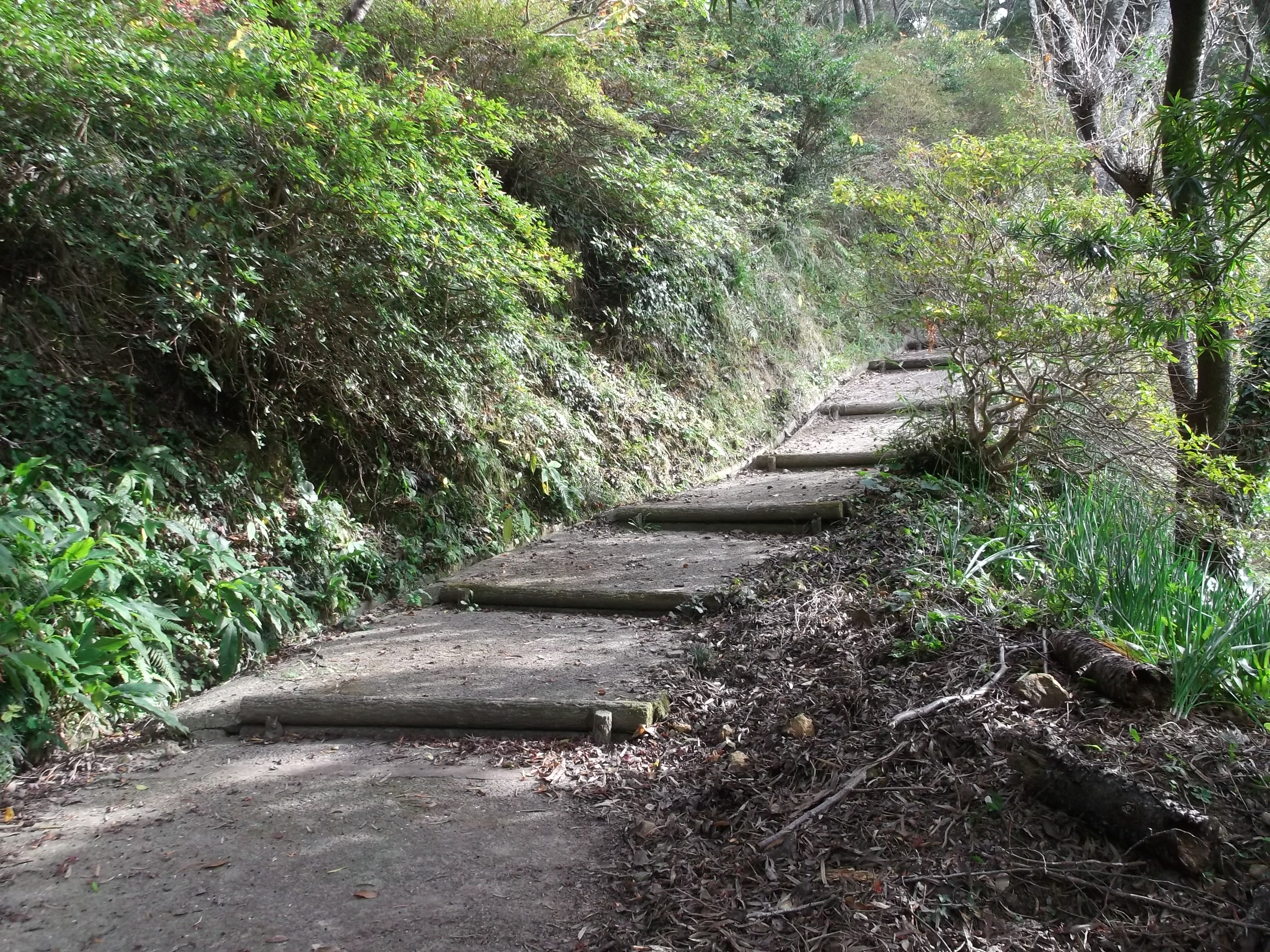 公園階段