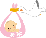 コウノトリと赤ちゃんの画像