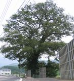 黒川町の木